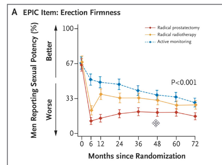 erection firmness